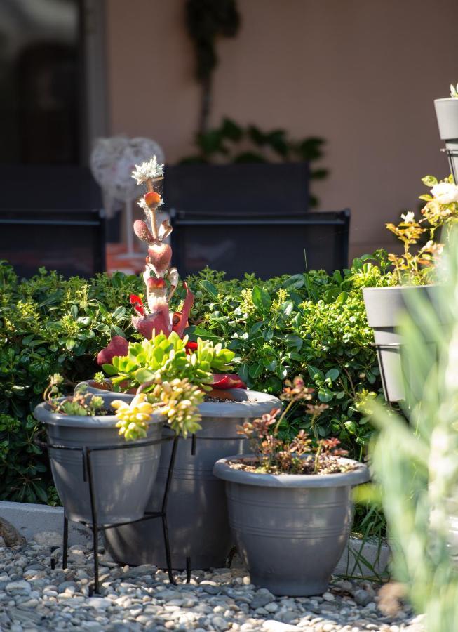 House Toula Elegant Apartment Sarti Exterior foto